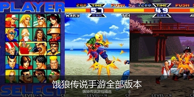 饿狼传说手游全部版本