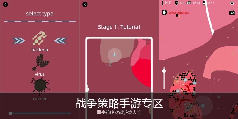 战争策略手游专区