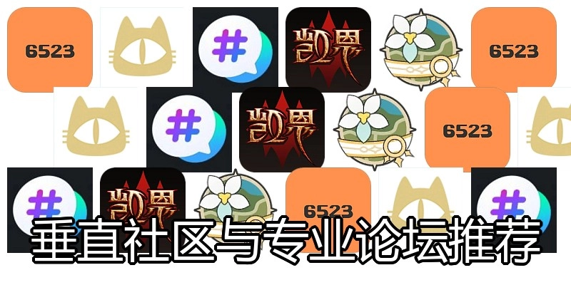 垂直社区与专业论坛推荐