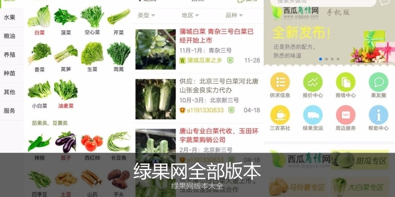 绿果网全部版本