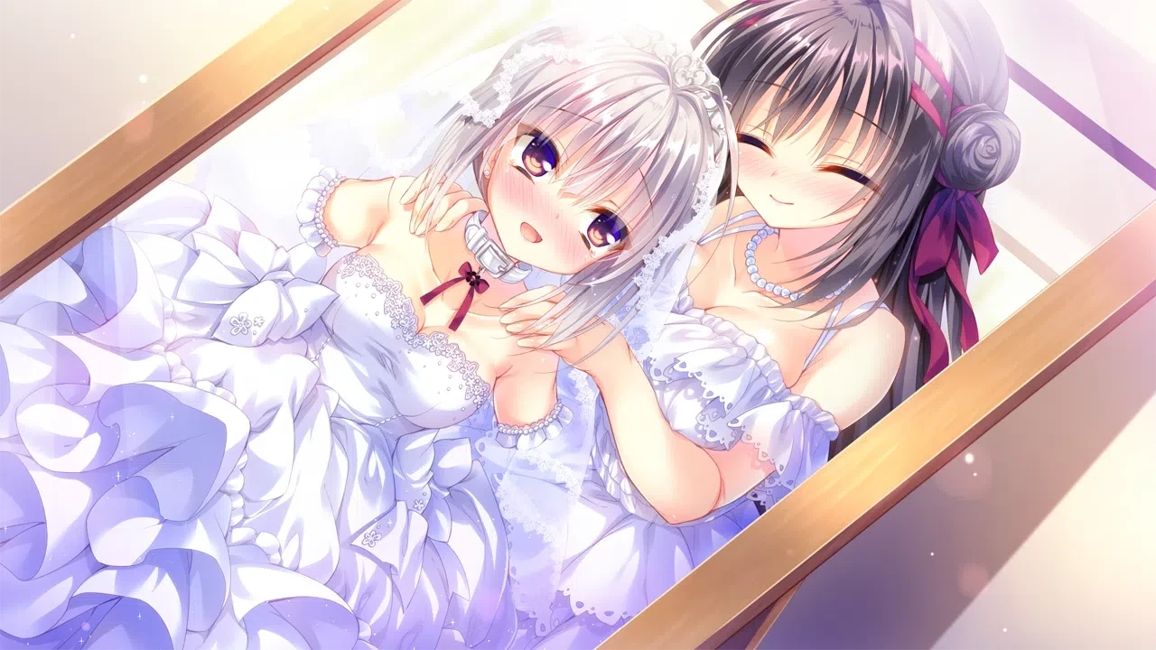 真爱百合