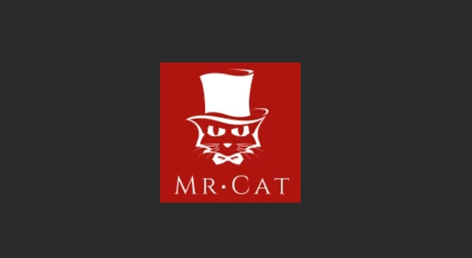 猫先生影视版本大全