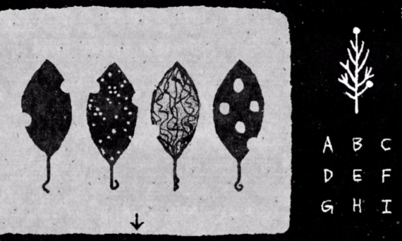 她的树游戏下载手机版