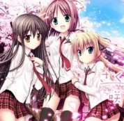 樱花开了