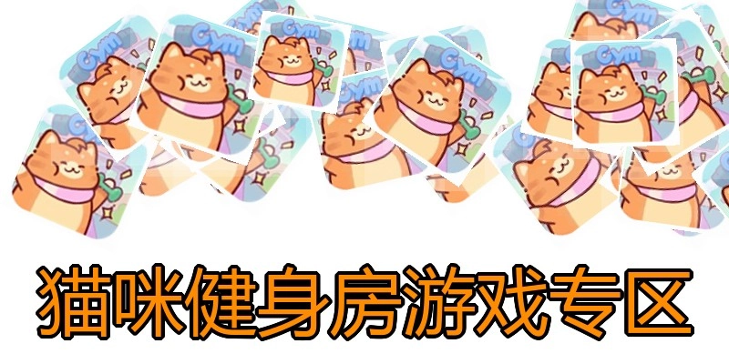 猫咪健身房游戏专区