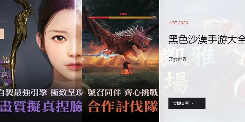 黑色沙漠手游大全