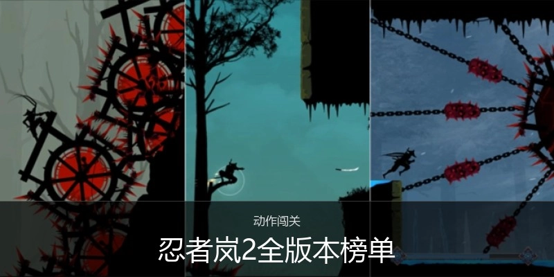 忍者岚2全版本榜单