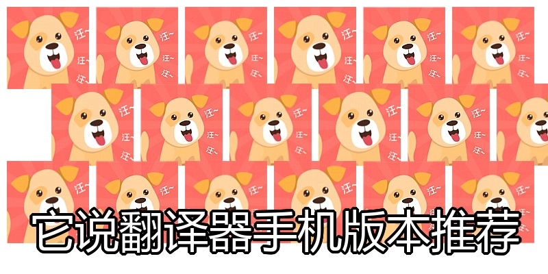 它说翻译器手机版本推荐