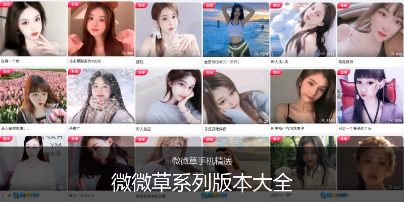 微微草系列版本大全