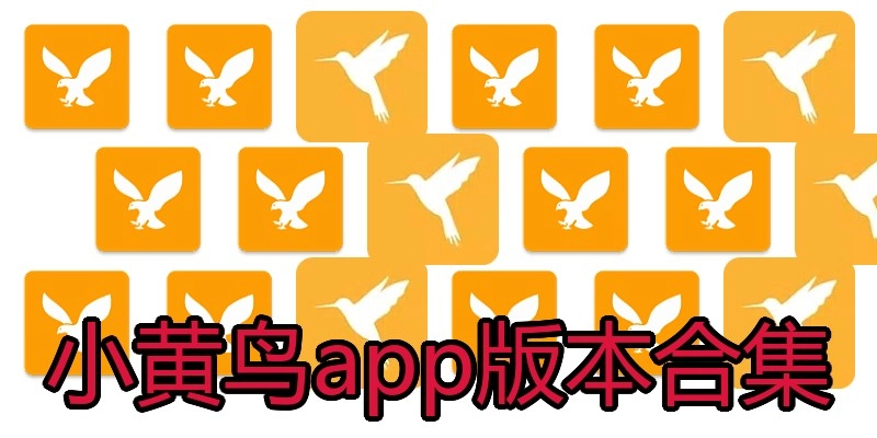 小黄鸟app版本合集