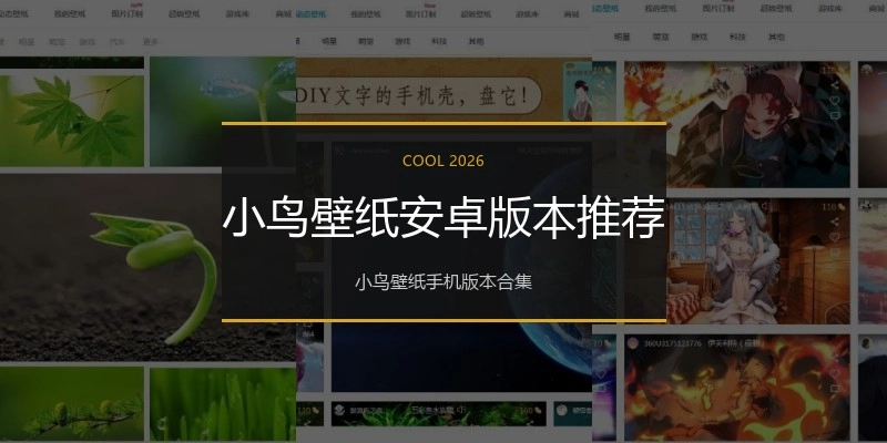 小鸟壁纸安卓版本推荐