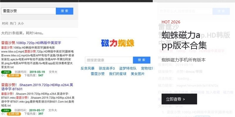 蜘蛛磁力app版本合集