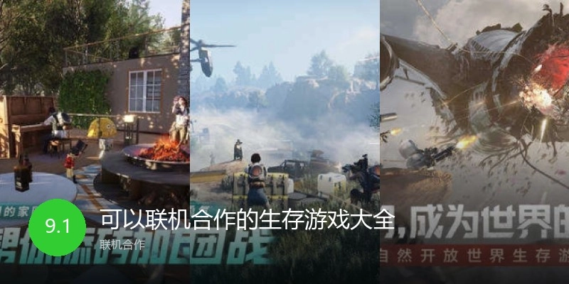 可以聯(lián)機(jī)合作的生存游戲大全