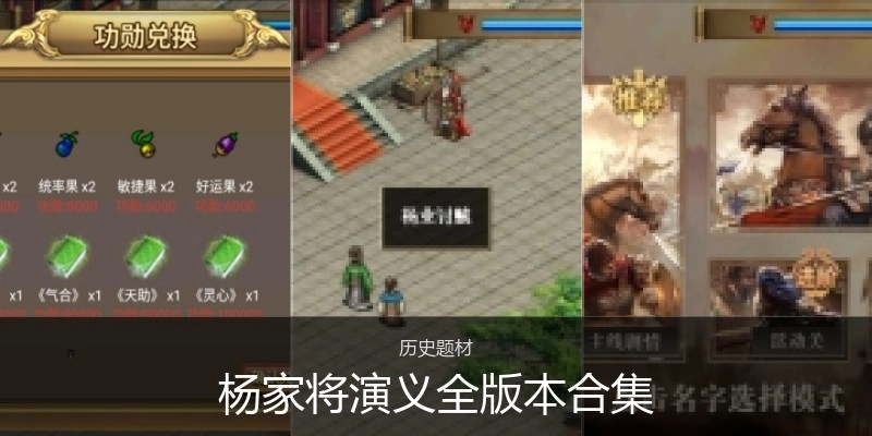 杨家将演义全版本合集