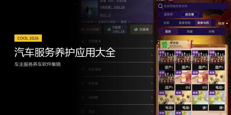 汽车服务养护应用大全