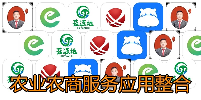 农业农商服务应用整合