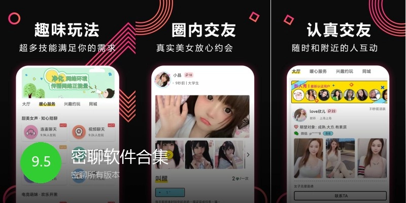 密聊软件合集
