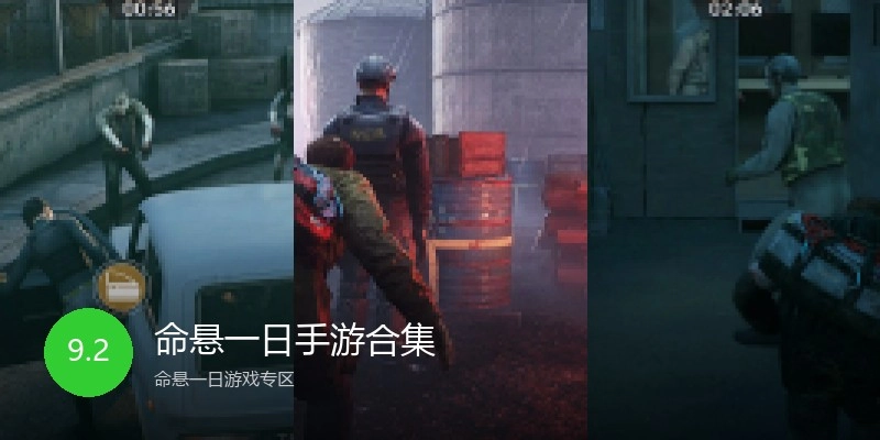 命悬一日手游合集