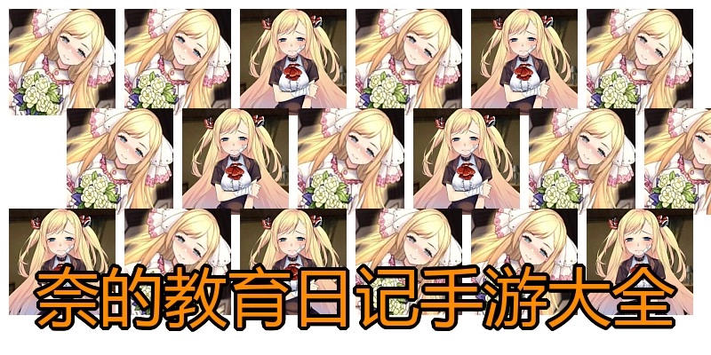 奈的教育日记手游大全