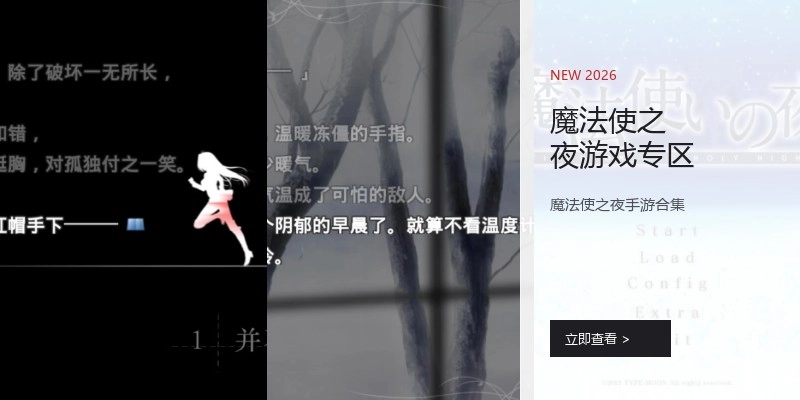 魔法使之夜游戏专区