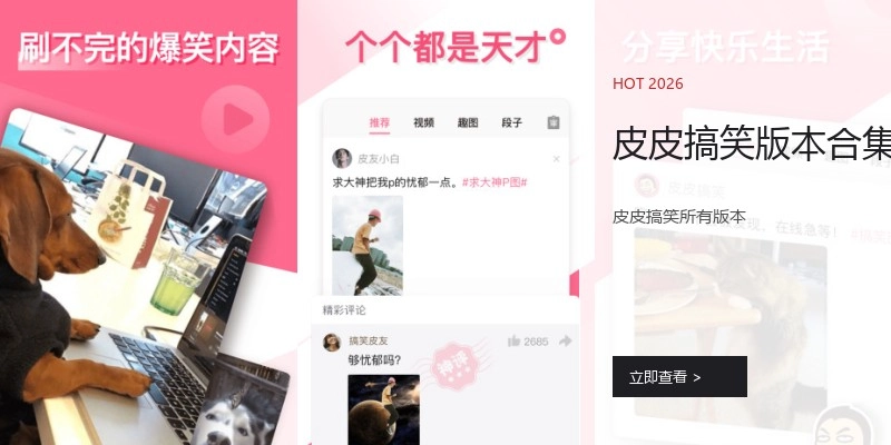 皮皮搞笑版本合集