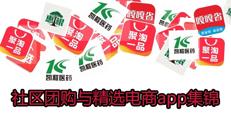 社区团购与精选电商app集锦