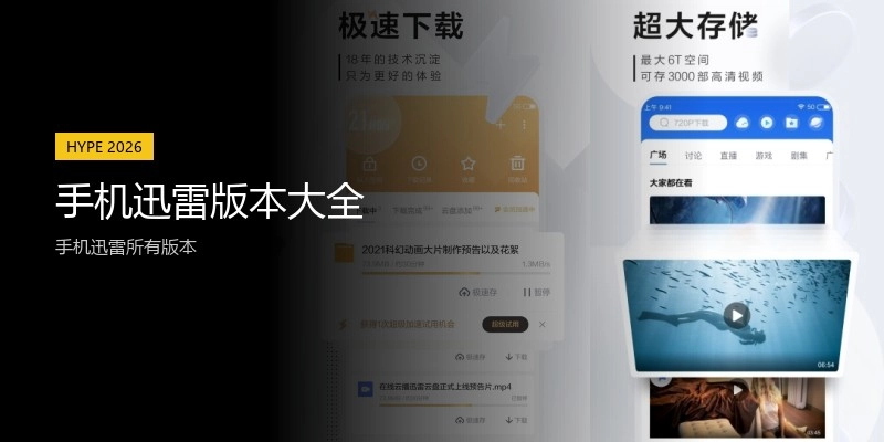 手机迅雷版本大全