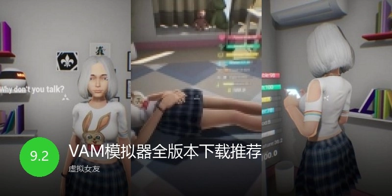 VAM模拟器全版本下载推荐