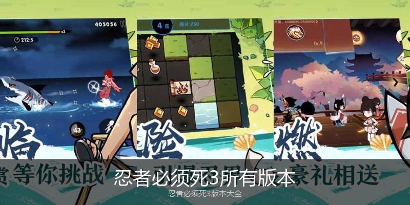 忍者必须死3所有版本