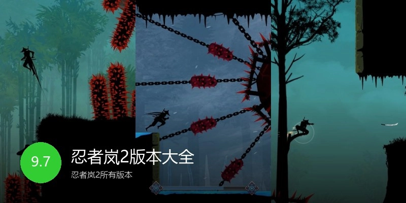 忍者岚2版本大全