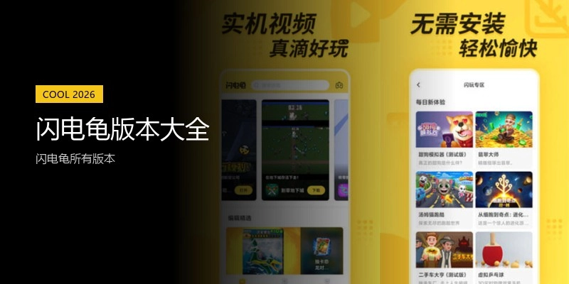 闪电龟版本大全