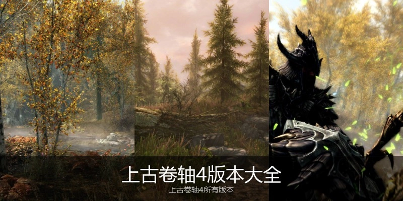 上古卷轴4版本大全