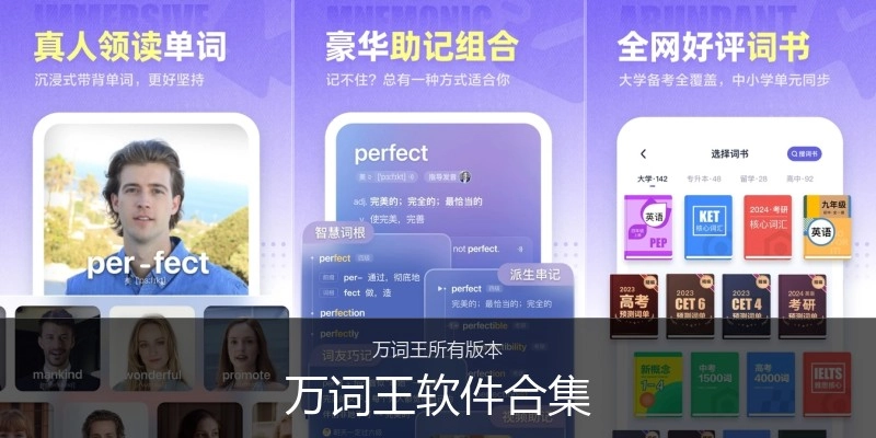 万词王软件合集