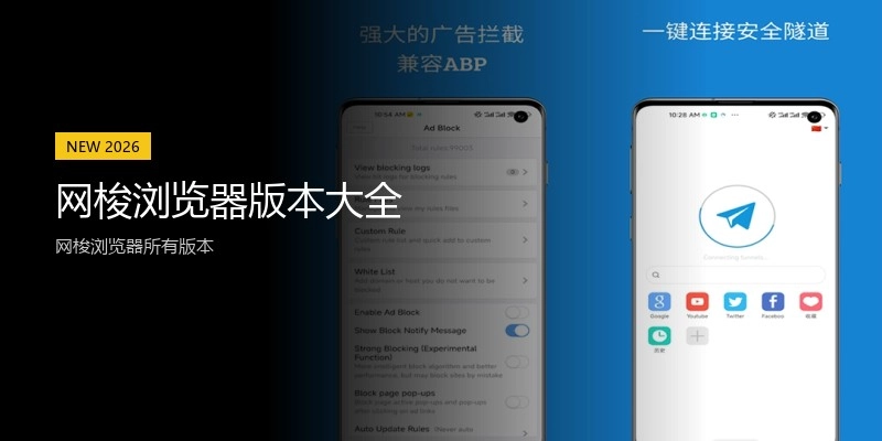 网梭浏览器版本大全