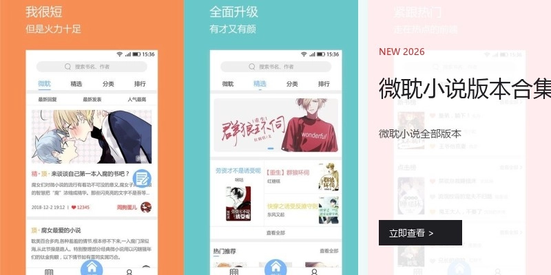 微耽小说版本合集