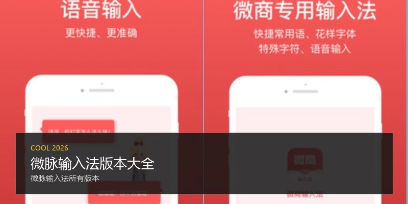 微脉输入法版本大全