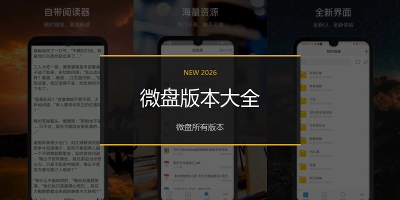 微盘版本大全