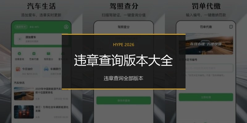 违章查询版本大全