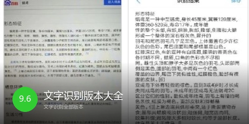 文字识别版本大全