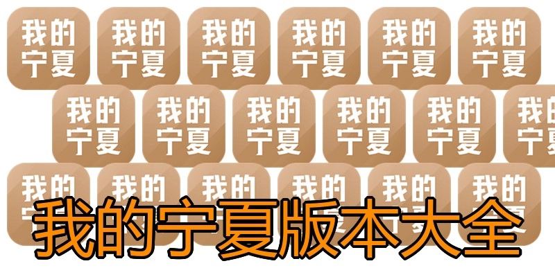 我的宁夏版本大全