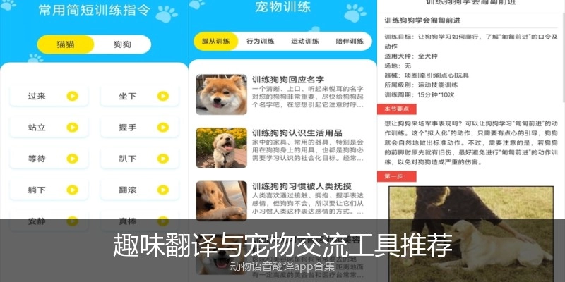 趣味翻译与宠物交流工具推荐