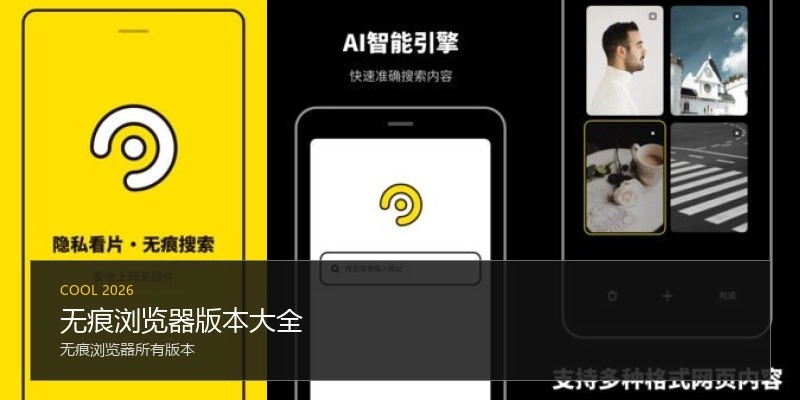 无痕浏览器版本大全