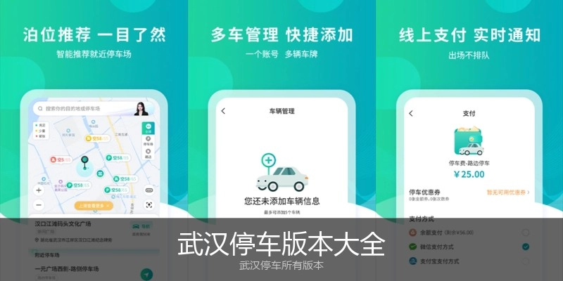 武汉停车版本大全