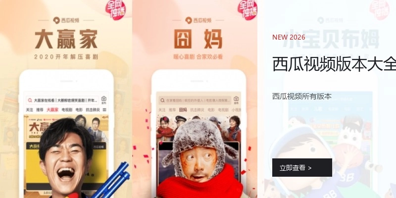 西瓜视频版本大全