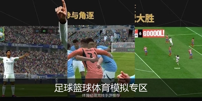 足球篮球体育模拟专区