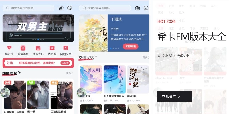 希卡FM版本大全