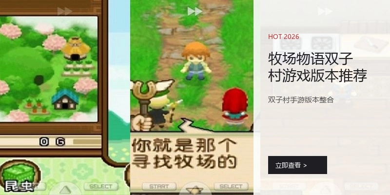 牧场物语双子村游戏版本推荐