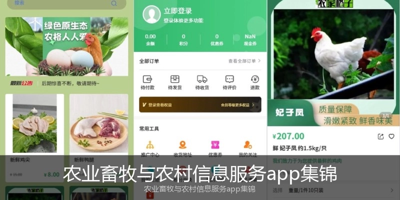 农业畜牧与农村信息服务app集锦