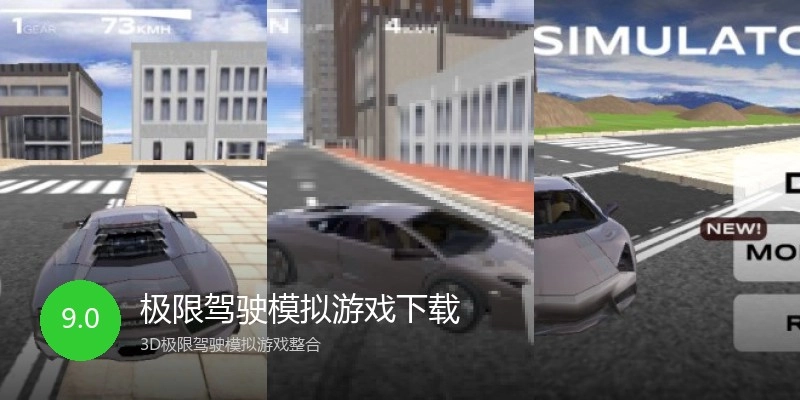 极限驾驶模拟游戏下载