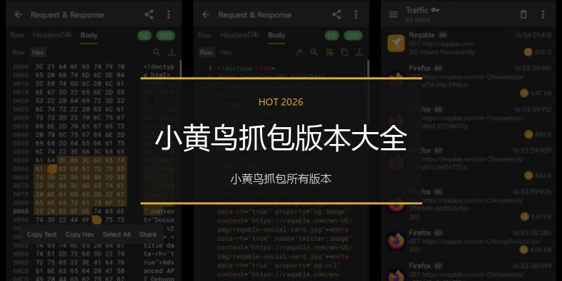 小黄鸟抓包版本大全